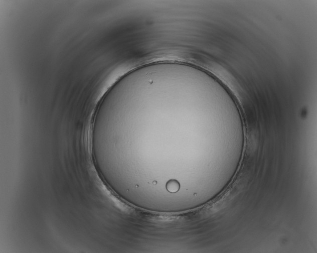 X0000094791290200711241353