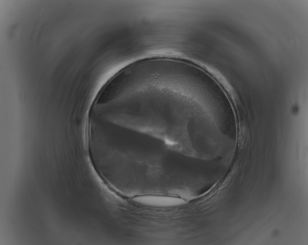 X0000094791295200711241353