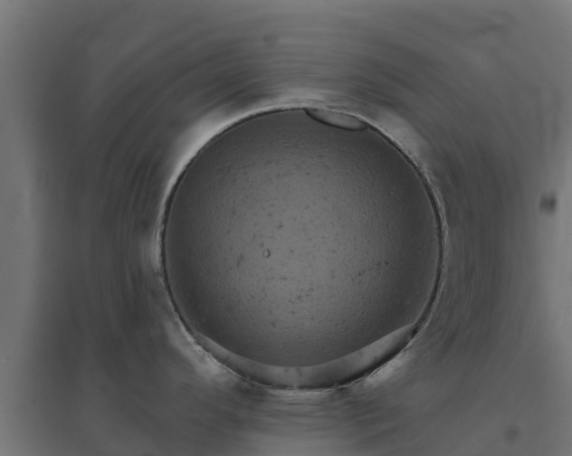 X0000094791296200711241353