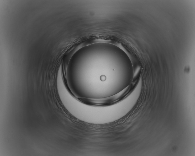 X0000094791298200711241352