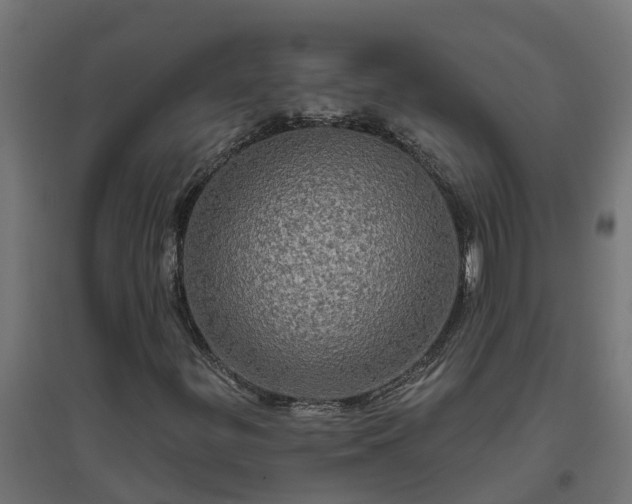 X0000094791299200711241352