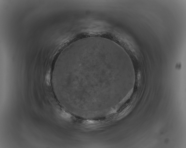 X0000094791300200711241352