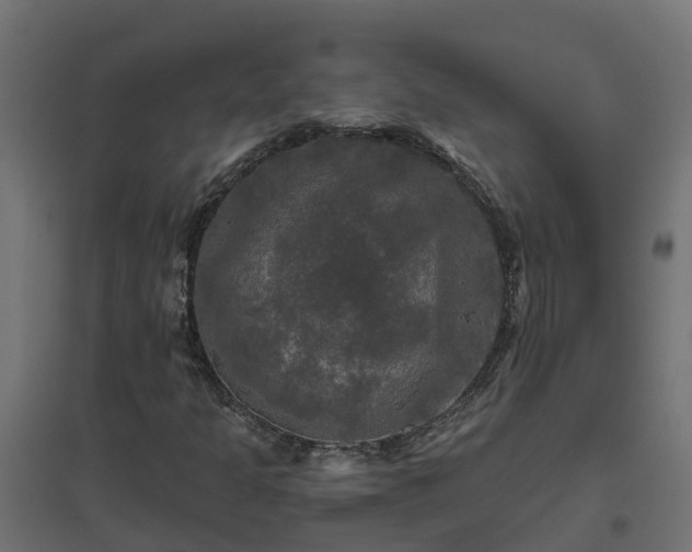 X0000094791301200711241352