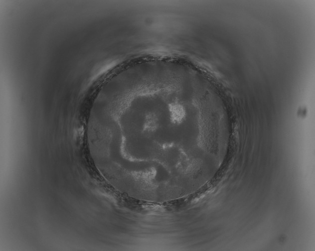 X0000094791302200711241352