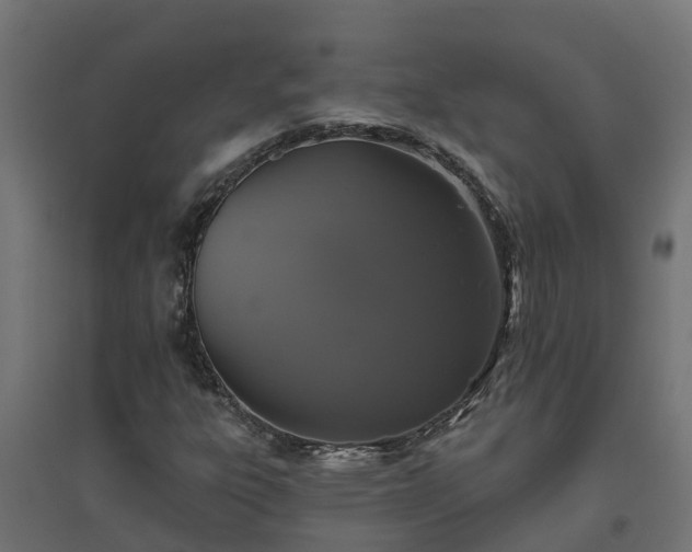 X0000094791303200711241352