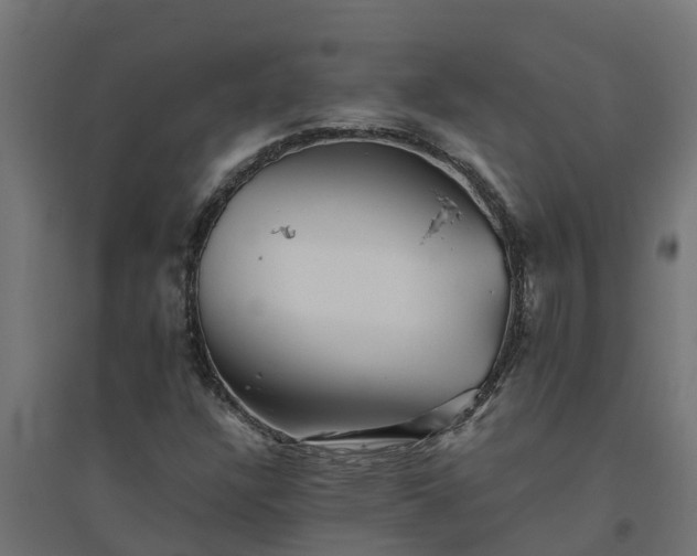 X0000094791304200711241352