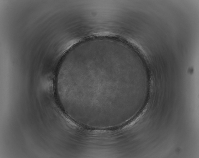 X0000094791305200711241352