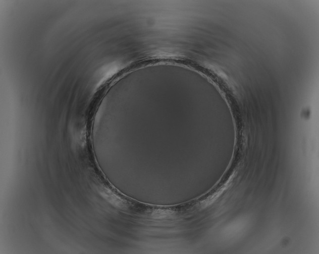 X0000094791306200711241352