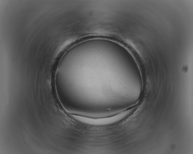 X0000094791307200711241352