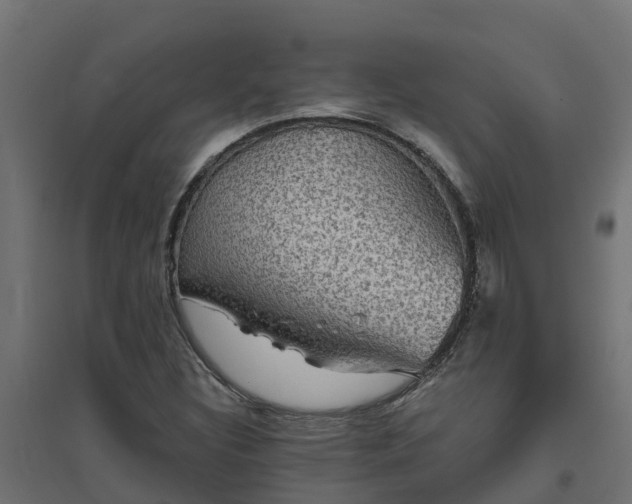X0000094791308200711241352