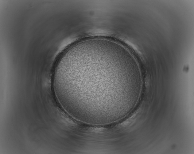 X0000094791309200711241352