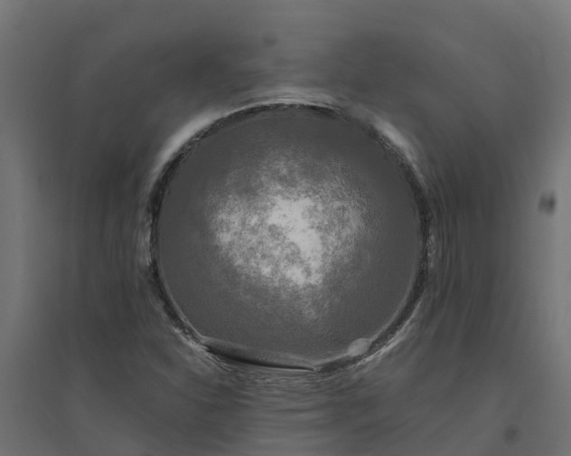 X0000094791310200711241352