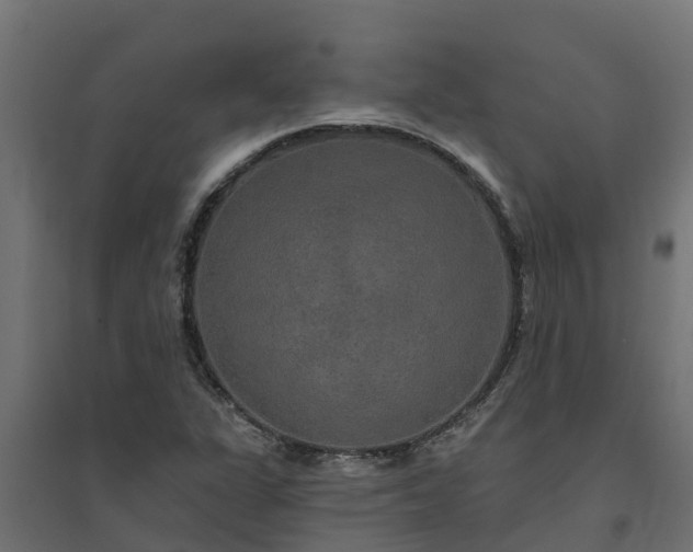 X0000094791311200711241352