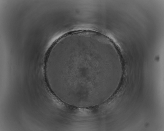 X0000094791312200711241352