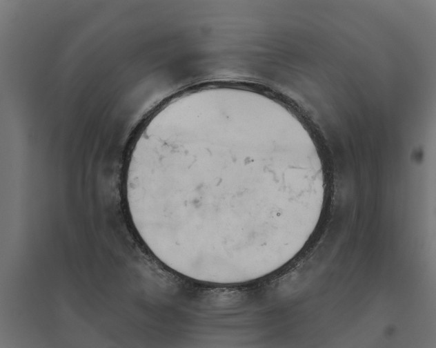 X0000094791314200711241352