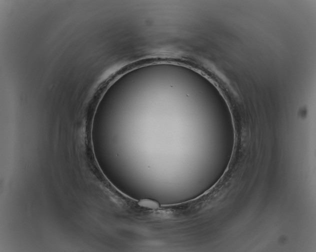 X0000094791315200711241352