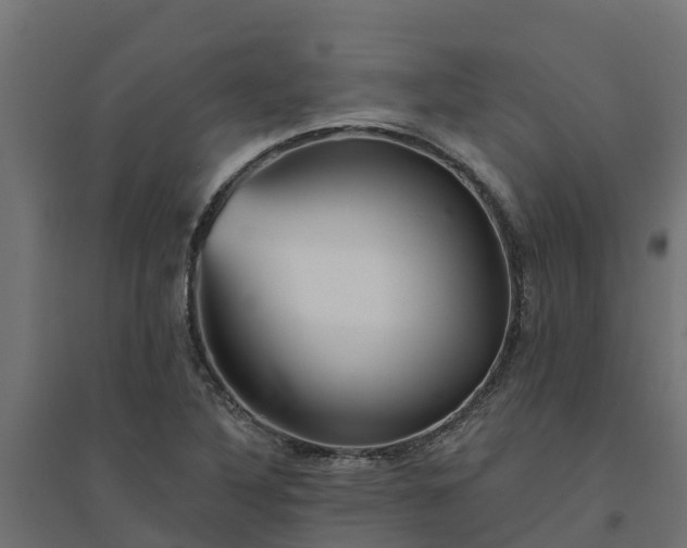 X0000094791316200711241352