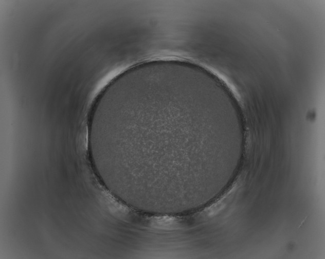 X0000094791317200711241352