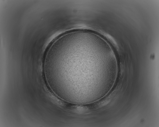 X0000094791318200711241352