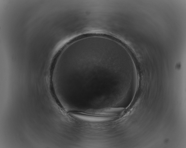 X0000094791319200711241352