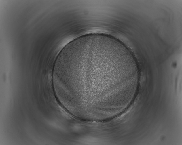 X0000094791321200711241352