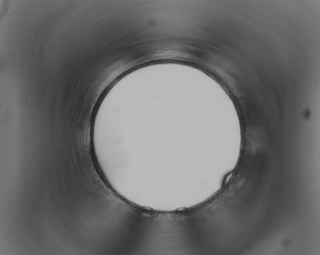 X0000094791322200711241352