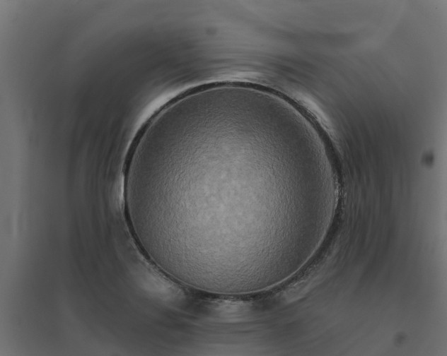 X0000094791324200711241353