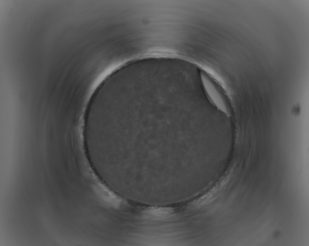 X0000094791325200711241353