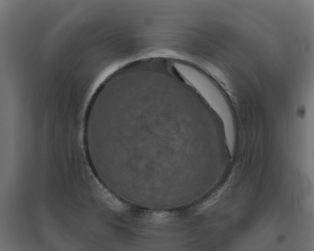 X0000094791326200711241353