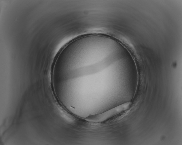 X0000094791328200711241353