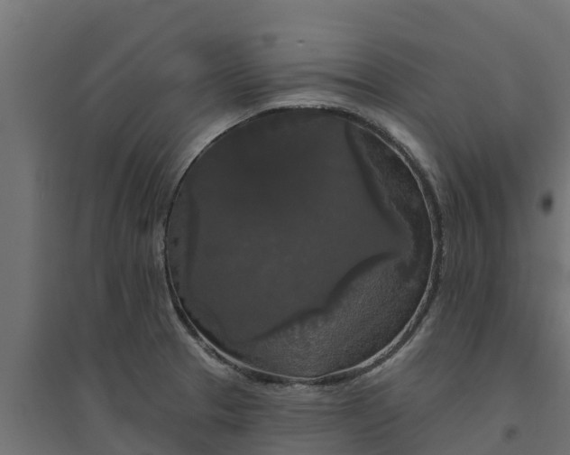 X0000094791329200711241353