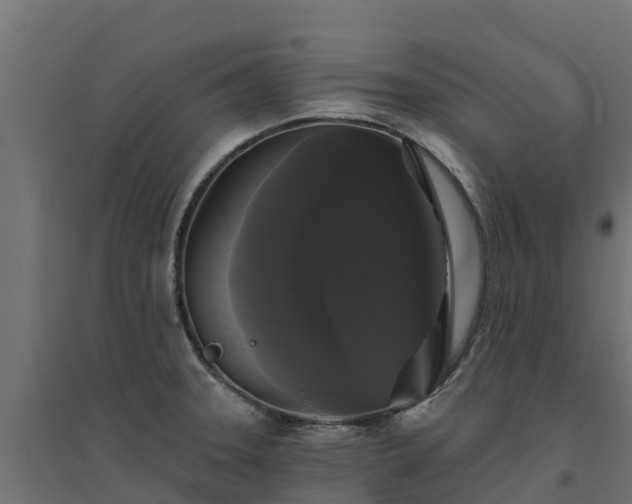 X0000094791331200711241353