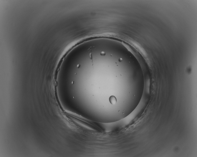 X0000094791332200711241353