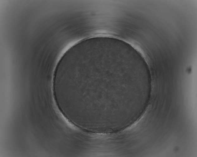 X0000094791333200711241353