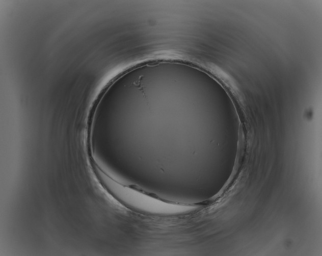 X0000094791334200711241353