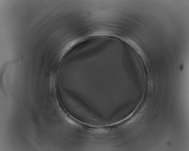 X0000094791337200711241353