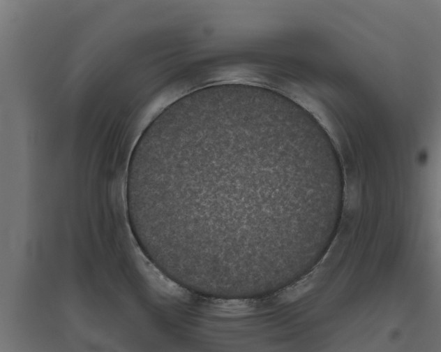 X0000094791338200711241353