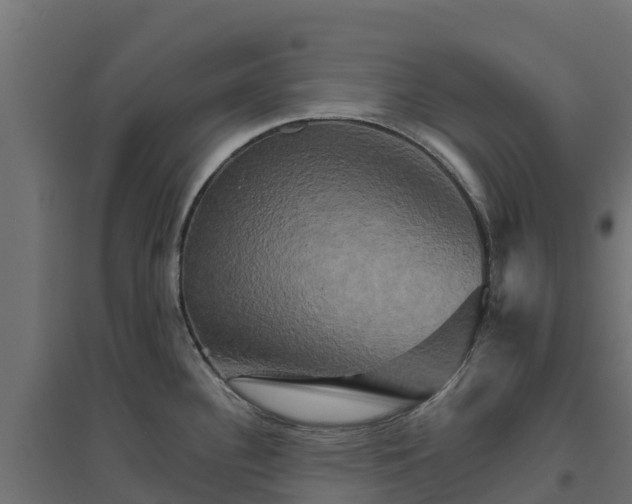 X0000094791340200711241353