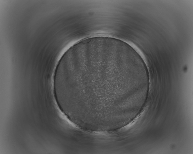 X0000094791341200711241353