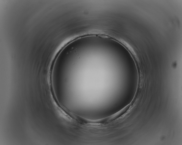 X0000094791342200711241353