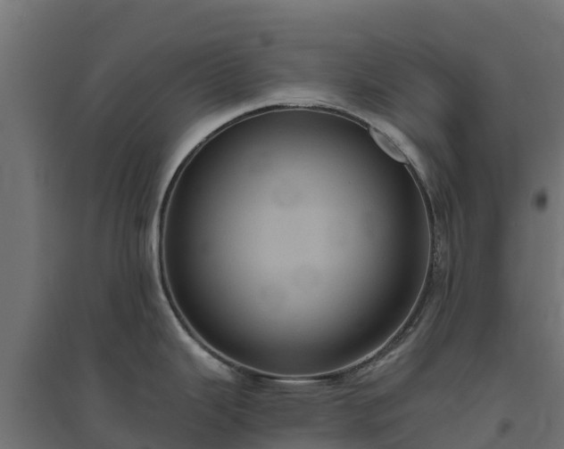 X0000094791343200711241353