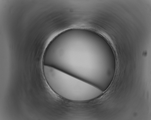 X0000094791344200711241353