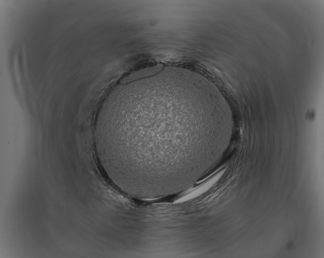 X0000094791345200711241352