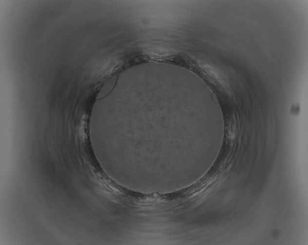 X0000094791346200711241352