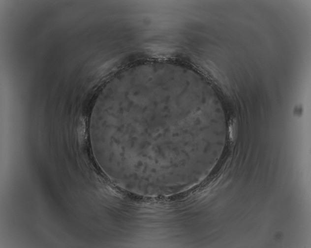 X0000094791347200711241352