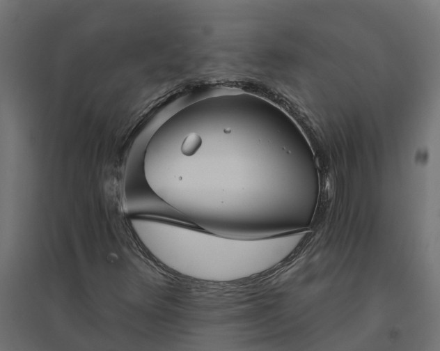 X0000094791348200711241352