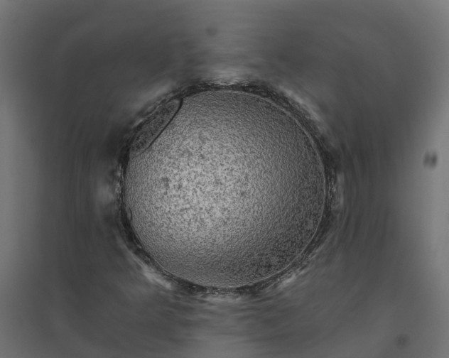 X0000094791349200711241352