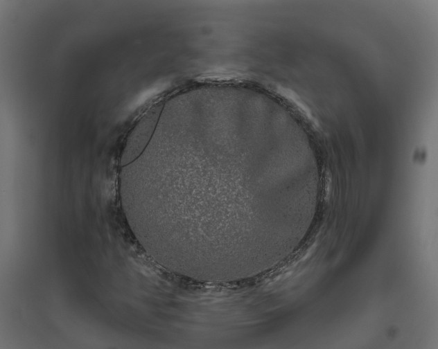 X0000094791350200711241352