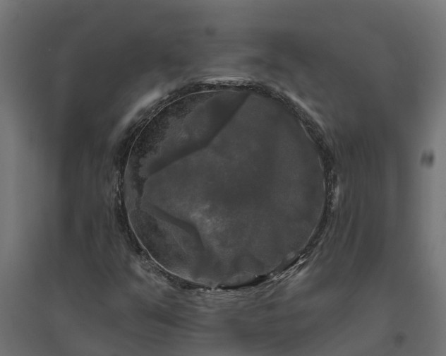 X0000094791351200711241352