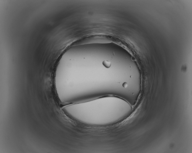 X0000094791353200711241352